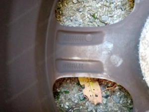 Borbet Alu Felgen 7x16 5x108 CC 70640 Ford Volvo Jaguar Evoque Bild 4