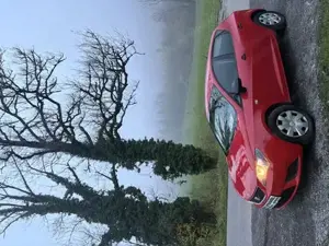 Seat Ibiza 2015  Bild 4