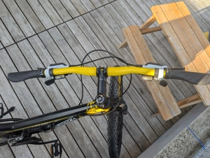 Kraftstoff Fahrrad Bulldogs Dornbirn Edition  Bild 7