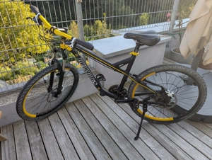 Kraftstoff Fahrrad Bulldogs Dornbirn Edition  Bild 8