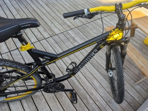 Kraftstoff Fahrrad Bulldogs Dornbirn Edition 