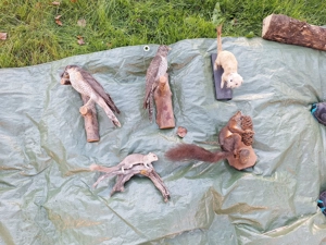 Verschiedene präparierte Tiere