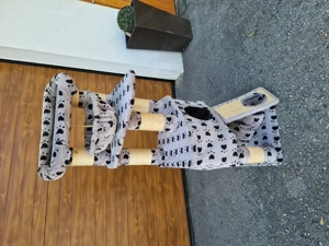 Katzen   Kratzbaum