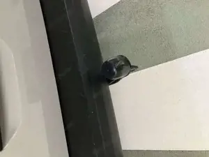 Volkswagen T6.1 Bild 13