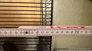Hamsterkäfig mit viel Zubehör zu verkaufen. Bild 3