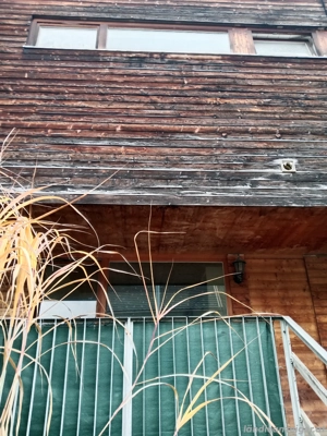 Single Wohnung  Bild 4