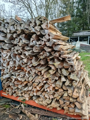 Brennholz 