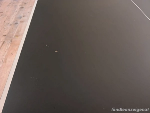 Tischtennisplatte zu verschenken  Bild 3