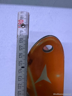 Tourenski mit Stöcken Bild 2