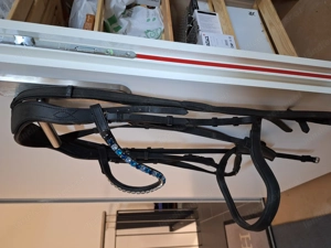 Heinick Trense WB Bild 2