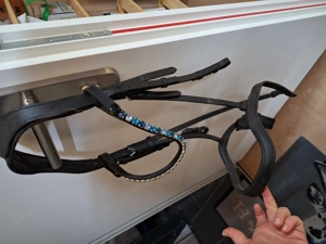 Heinick Trense WB Bild 3