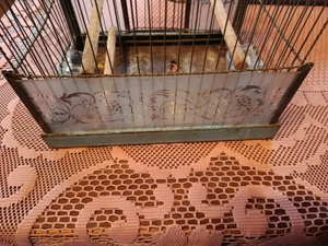 Vogelkäfig über 120 Jahre alt, Vintage, Antik Bild 2