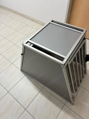 Hundebox - Whippet - BMW X5 Bild 4