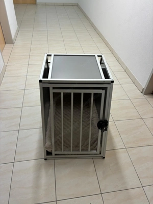 Hundebox - Whippet - BMW X5 Bild 2