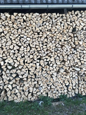 Brennholz   Bild 2