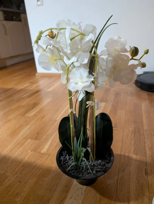 diverse Dekoartikel Bild 3