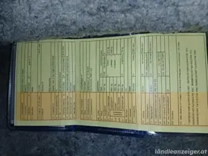 VW T4 Syncro AXL langer Radstand  Bild 5