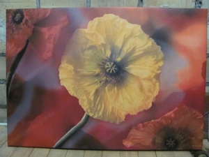 Bilder verschiedene Öl und Papier Bild 3