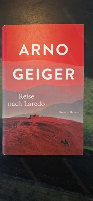 Die Reise nach Laredo (Arno Geiger)