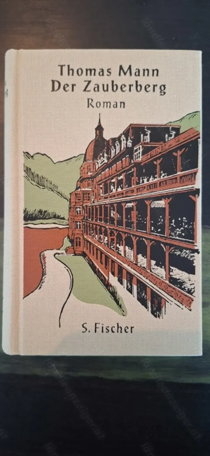 Der Zauberberg (1001 Seiten)