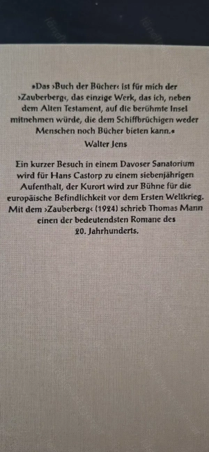 Der Zauberberg (1001 Seiten) Bild 2
