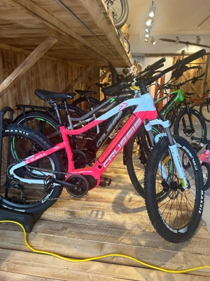 Geschäftsauflösung   nagelneue E-Bikes zum Sonderpreis!