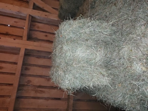  Kleinballen - Quaderballen Zweitschnitt 2025