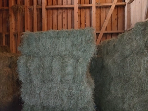  Kleinballen - Quaderballen Zweitschnitt 2025 Bild 2