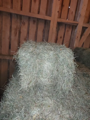  Kleinballen - Quaderballen Zweitschnitt 2025