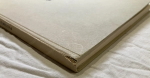 Buch Conrad Felixmüller ich sah und schnitt in Holz Bild 5