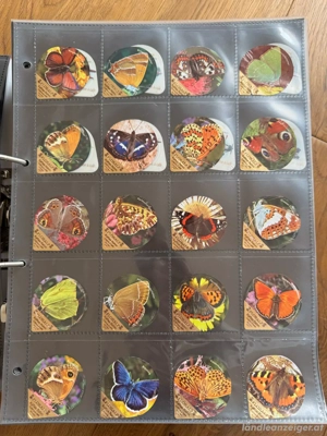 Kaffeerahmdeckel Sammlung Bild 5