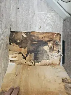 Citroën Jumper Kombi/Bus Bild 11