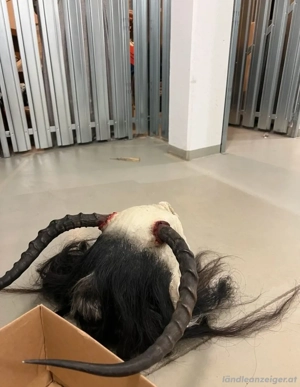 Krampus Maske Bild 3