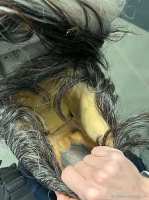 Krampus Maske Bild 5