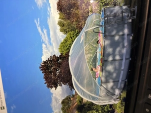 Schwimmbadüberdachung Sunny Tent  Bild 2
