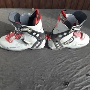 Touren-Ski   Carver   HAGAN    170 cm Bild 2