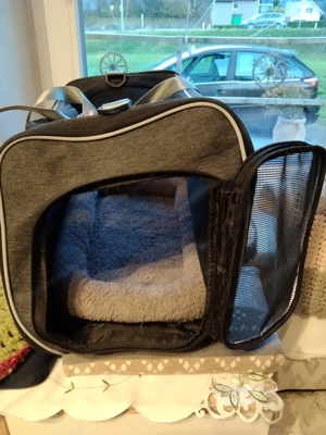 Katzenkorb Tragetasche Bild 2
