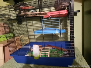 Käfige Hamster Bild 2