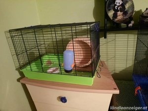 Käfige Hamster