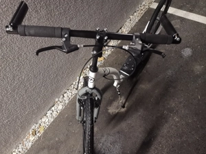 Master 26-20 Tretroller  Bild 4