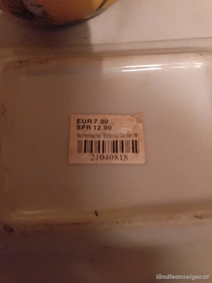 Aschenbecher & Dekokugel  Bild 3