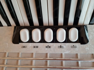 Akkordeon Hohner Concerto 3 T Bild 4