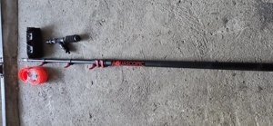 Teleskopstange 10m mit Bürste 