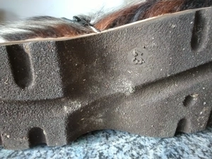 Devich Fellstiefel Bild 5