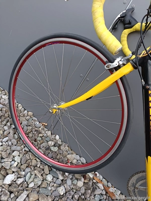 Mauro Milani Rennrad  Bild 8