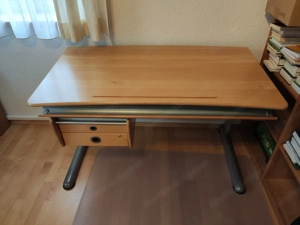 Schreibtisch der Marke Moll