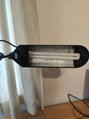 Schreibtischlampe schwenkbar Bild 2
