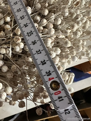 Wunderschöner Adventskranz Natur 40cm Bild 2