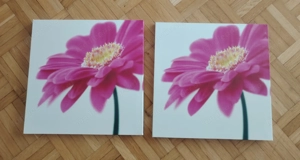 Div. Deko Artikel  Bild 3