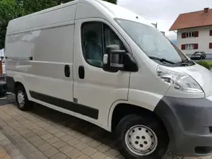 Transporter Ford Transit  Bild 2
